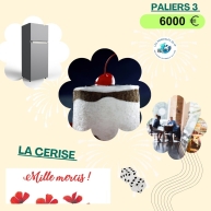 palier 3 les benevoles du 47