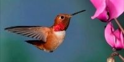 Image 1608056150