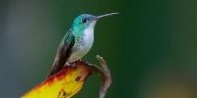 Image 1608058403