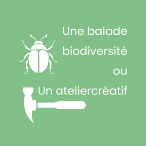 Image 1748032890