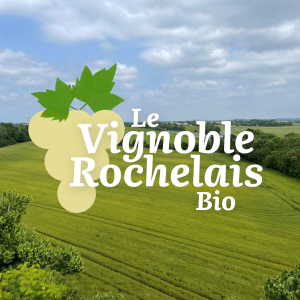 Image 1710092067